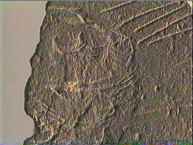 Plaquette (fragment)_6