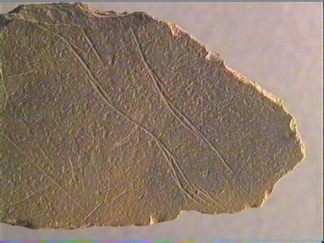 Plaquette (fragment)_3