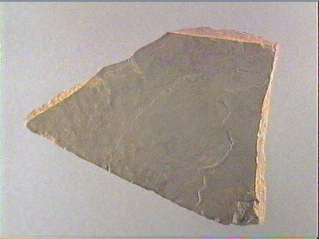 Plaquette (fragment)_1