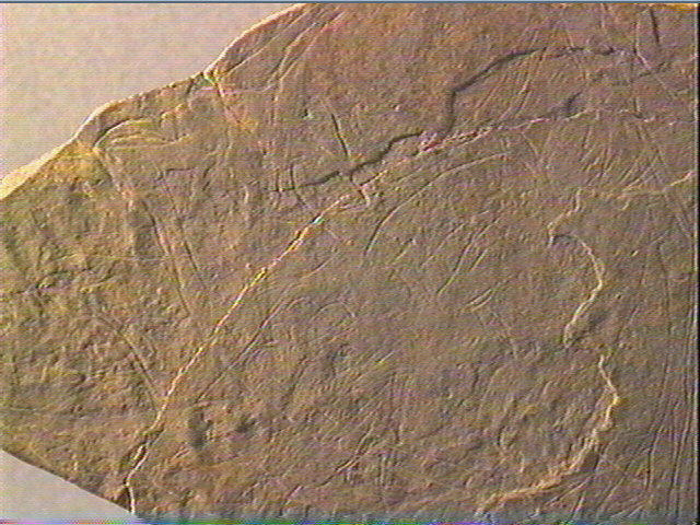 Plaquette (fragment)_2