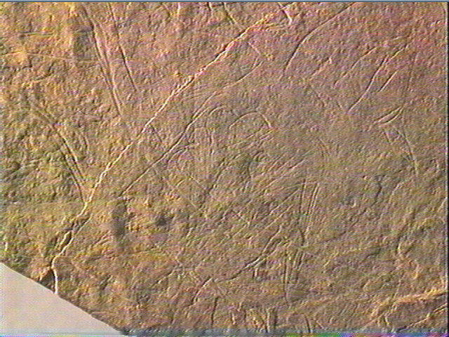 Plaquette (fragment)_3