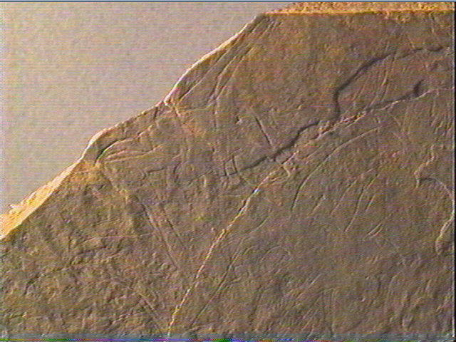 Plaquette (fragment)_4