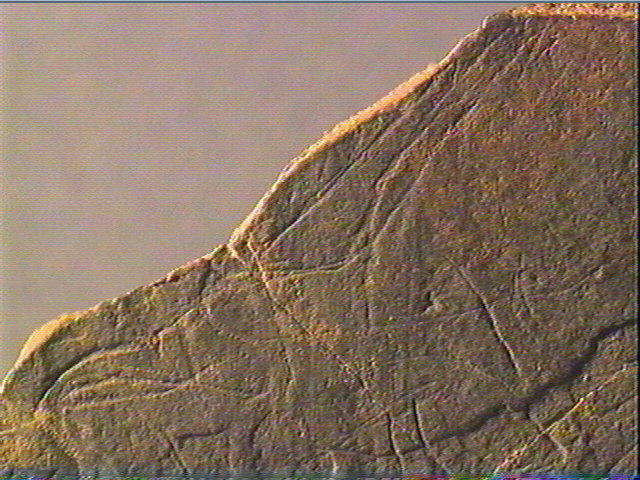 Plaquette (fragment)_5