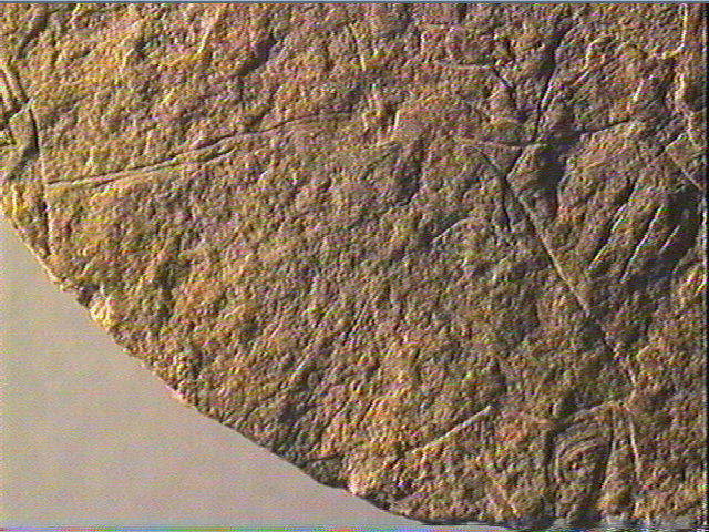 Plaquette (fragment)_6