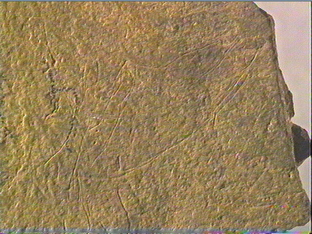 Plaquette (fragment)_6