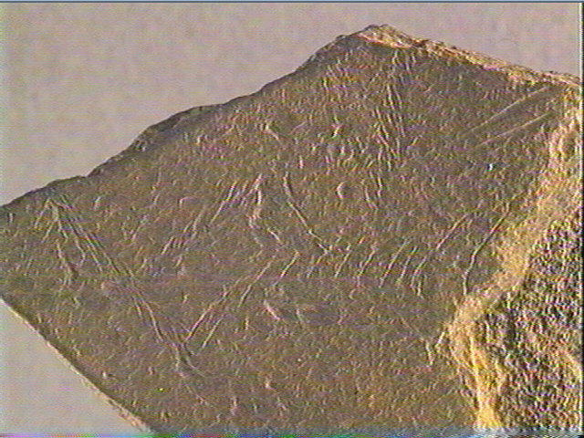 Plaquette (fragment)_4