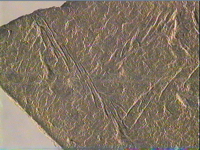 Plaquette (fragment)_5