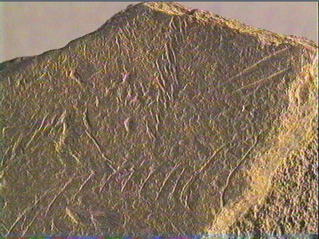 Plaquette (fragment)_6