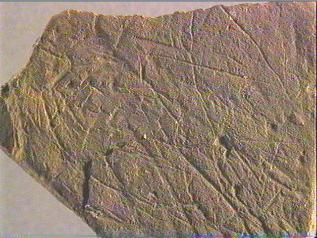 Plaquette (fragment)_4