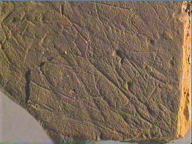Plaquette (fragment)_5
