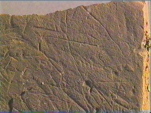 Plaquette (fragment)_6