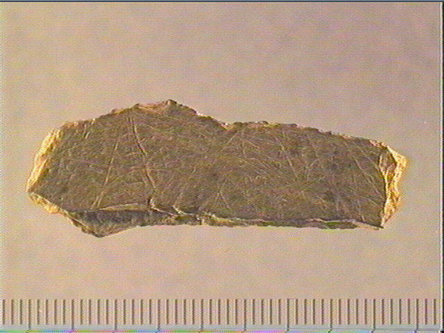 Plaquette (fragment)_1