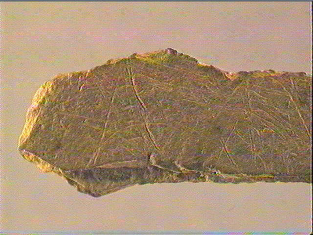 Plaquette (fragment)_2