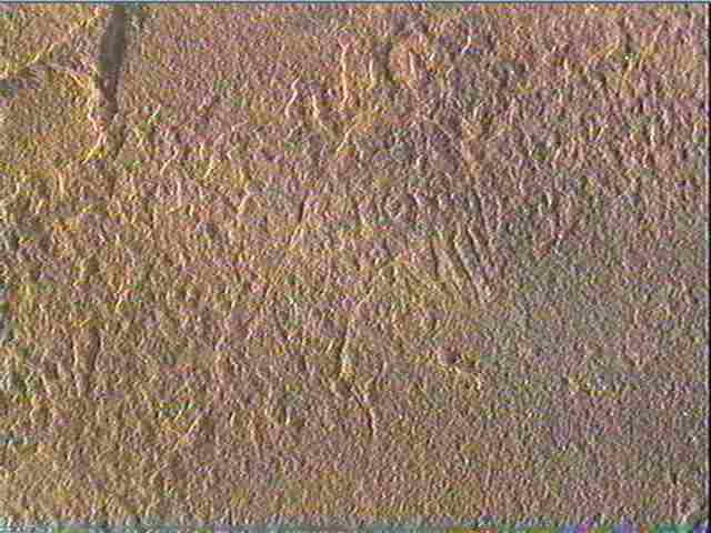 Plaquette (fragment)_5