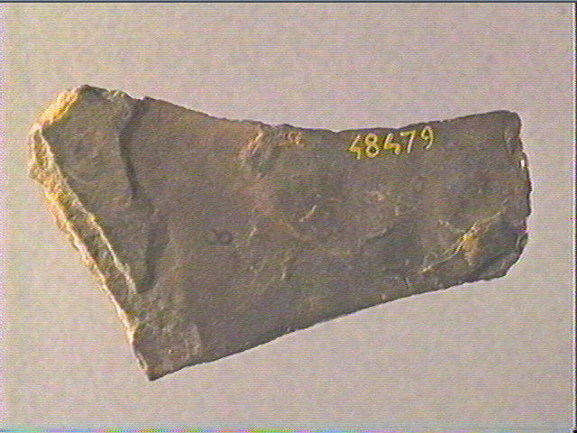 Plaquette (fragment)_1
