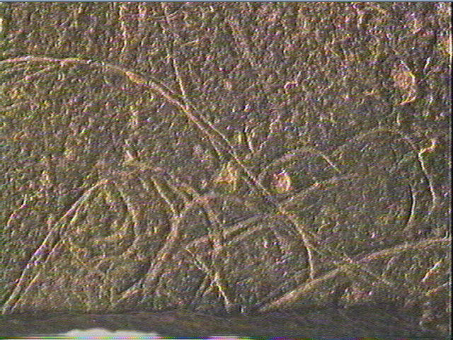 Plaquette (fragment)_6