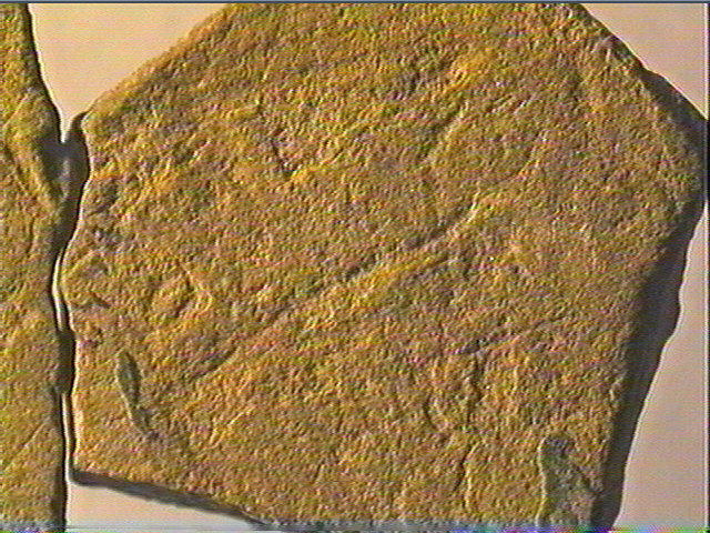 Plaquette (fragment, 2)_6