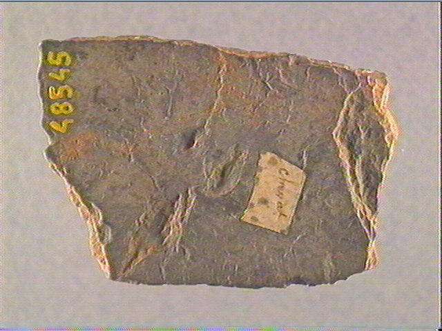 Plaquette (fragment)_1