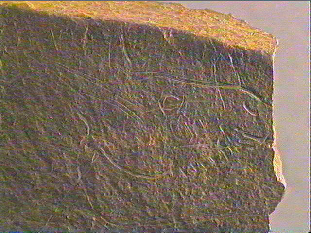 Plaquette (fragment)_3