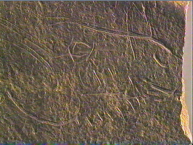 Plaquette (fragment)_4