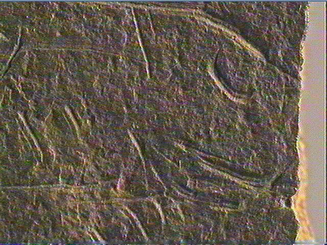 Plaquette (fragment)_5