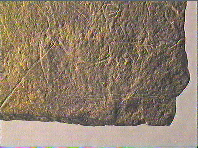 Plaquette (fragment)_6