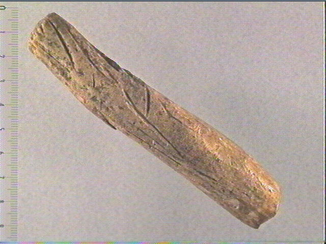 Coin_0