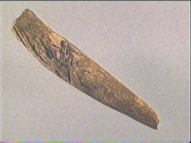Coin_1