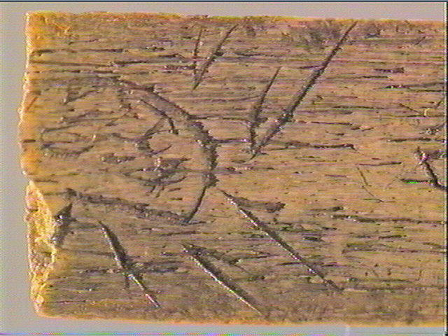 Lissoir, côte_5