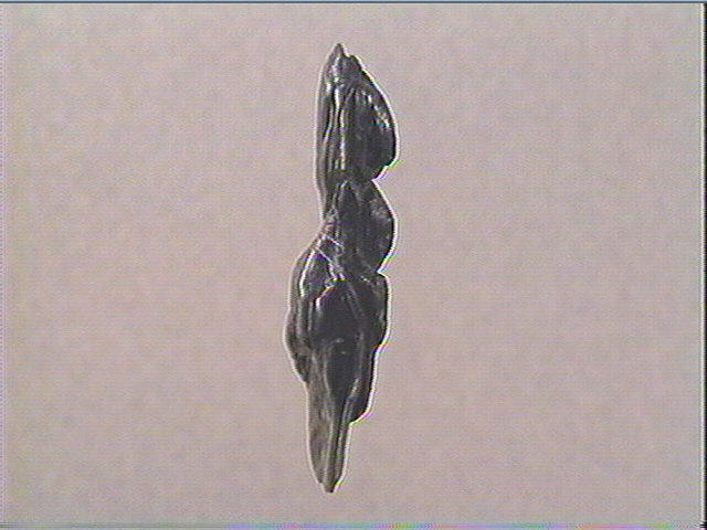 L'hermaphrodite_3