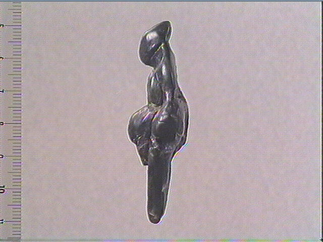 Le losange_1