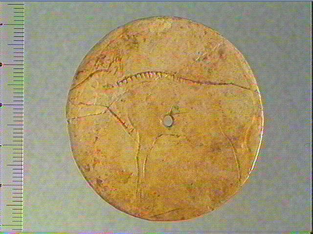 Rondelle (perforé), scapula, contour découpé_1