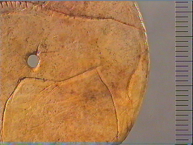 Rondelle (perforé), scapula, contour découpé_6