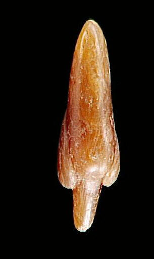 La vénus de Tursac_4