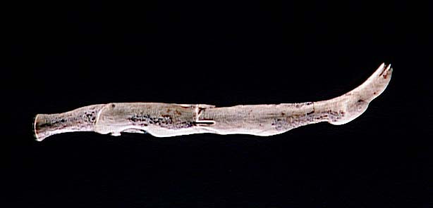 Le sceptre_1