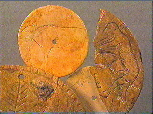 Rondelle, scapula_5