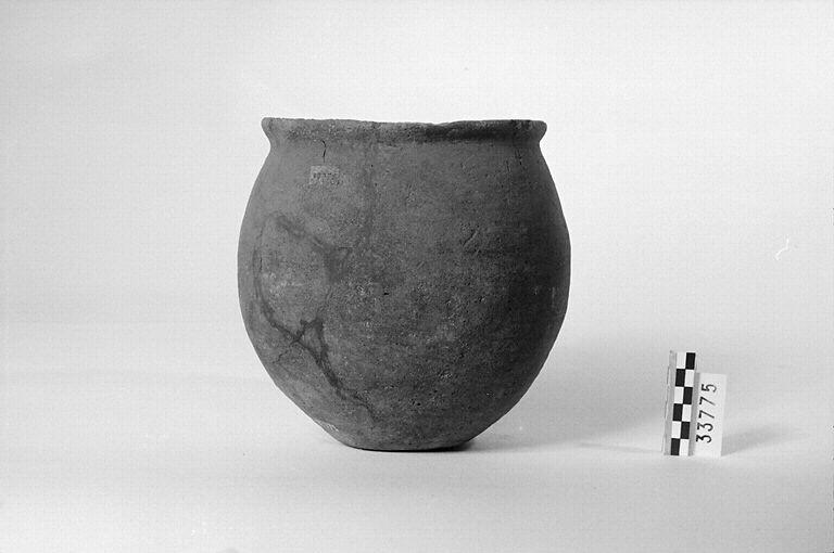 Vase (globulaire)_0