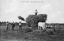 VILLARS - La Rentrée du Blé_1