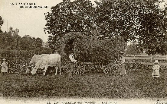 LA CAMPAGNE BOURBONNAISE - 28 LES TRAVAUX DES CHAMPS_0