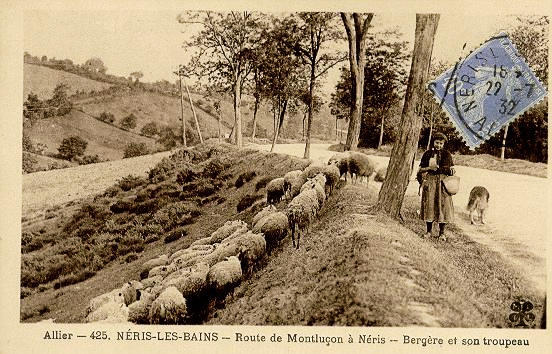 ALLIER - 425 NERIS-LES-BAINS - ROUTE DE MONTLUÇON A NERIS - BERGERE ET SON TROUPEAU_0