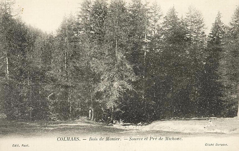 COLMARS - BOIS DE MONIER - SOURCE ET PRE DE MICHONE_0