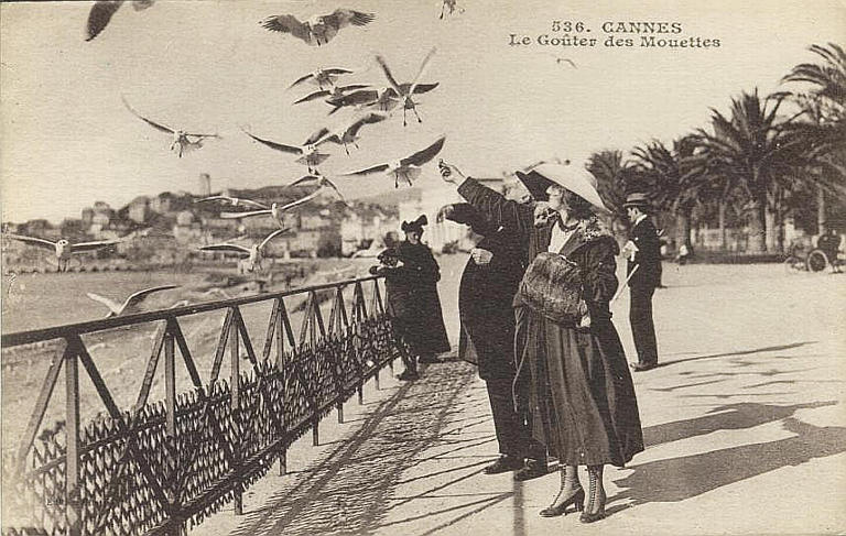 536. CANNES / Le Goûter des Mouettes_0