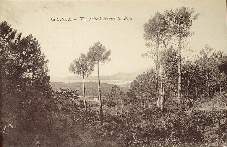 LA CROIX - VUE PRISE ATRAVERS LES PINS_0