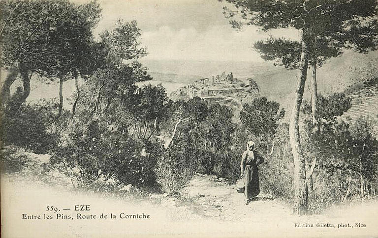 559. EZE / ENTRE LES PINS, ROUTE DE LA CORNICHE_0