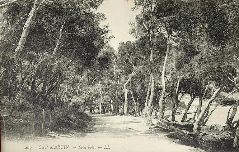 409. CAP MARTIN - SOUS-BOIS_0