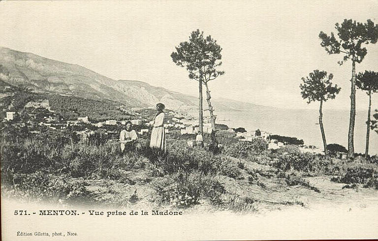 571. MENTON - VUE PRISE DE LA MADONE_0