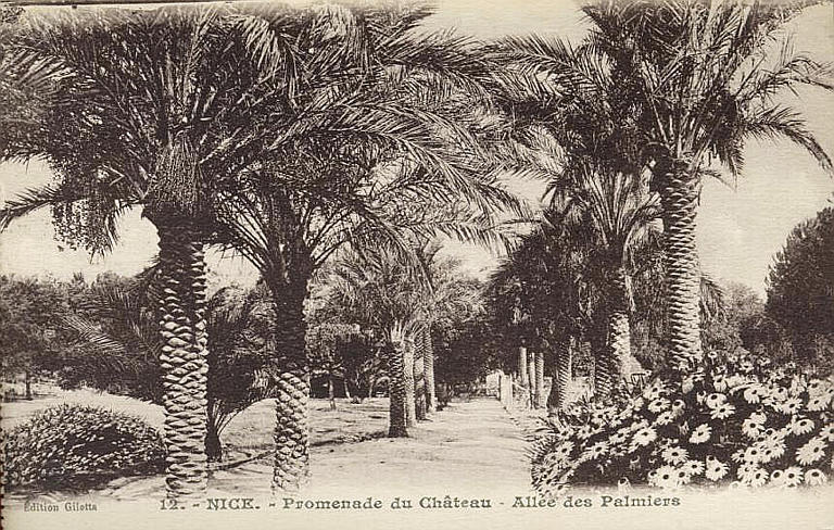 12. NICE - PROMENADE DU CHATEAU - ALLEE DES PALMIERS_0