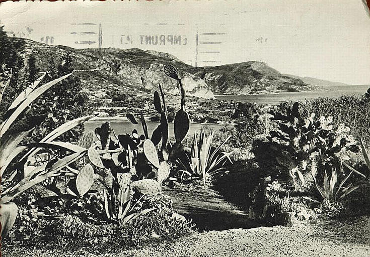 Le Plateau du Mont-Boron - Vers le Cap Ferrat et Monaco_0