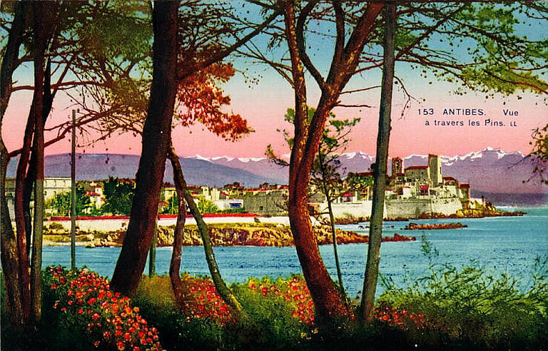 153. ANTIBES - VUE A TRAVERS LES PINS_0