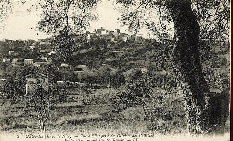 2 CAGNES (ENV. DE NICE) - VUE A L'ESR PRISE DES OLIVIERS DES COLLETTES - PROPRIETE DU GRAND PEINTRE RENOIR_0